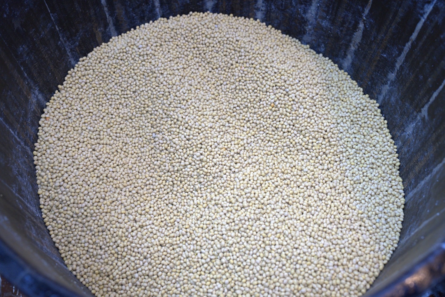 Traditional Japanese Desserts to Sweeten Your Day